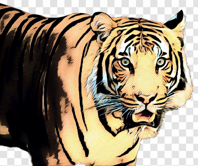 Bengal Tiger Clip Art Image - Siberian - Big Cat Transparent PNG