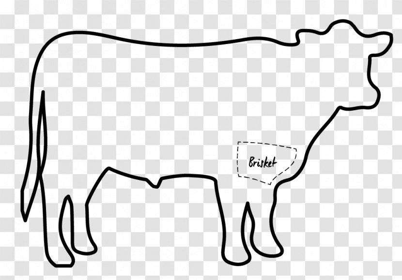 Angus Cattle Mammal Drawing Steak Horse - Flower - Brisket Transparent PNG