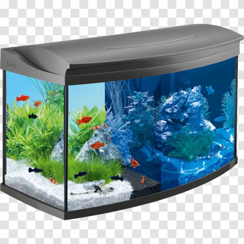 Light Tetra Aquariums Aquascaping - Lighting Transparent PNG