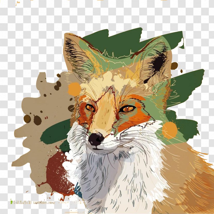 Watercolor Painting Fox Illustration - Cartoon - Painted Wolf Transparent PNG