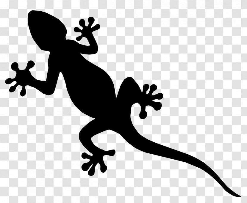 Lizard Common Iguanas Reptile Gecko - Amphibian Transparent PNG