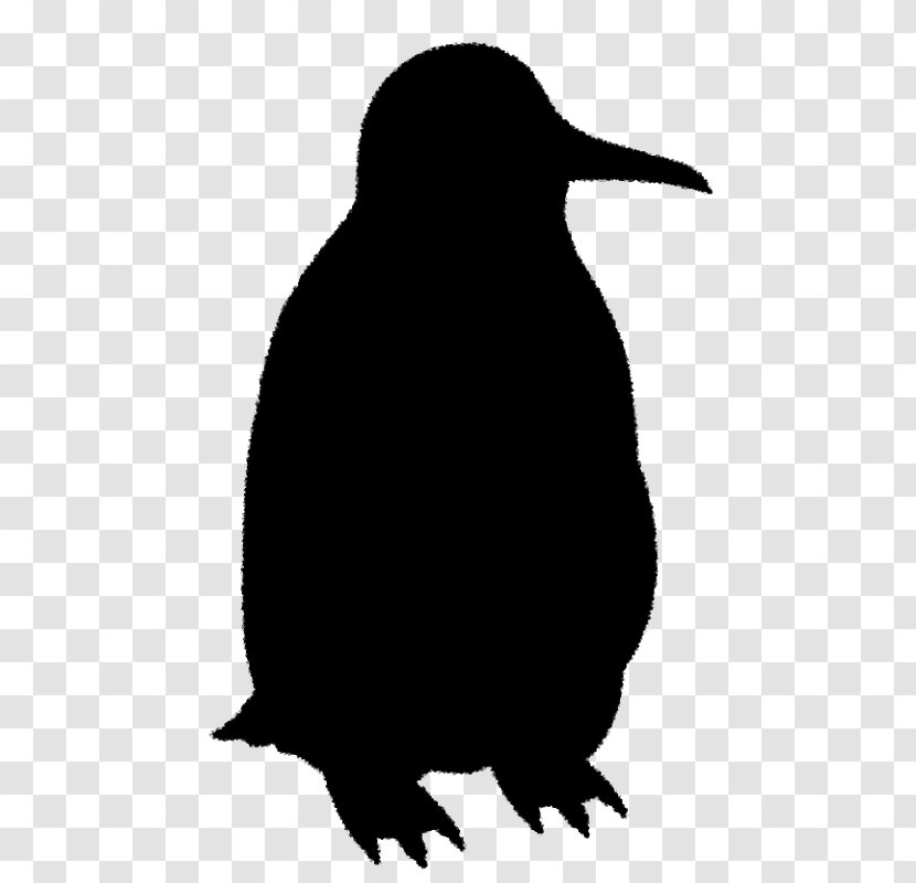 Penguin Clip Art Fauna Beak Silhouette Transparent PNG