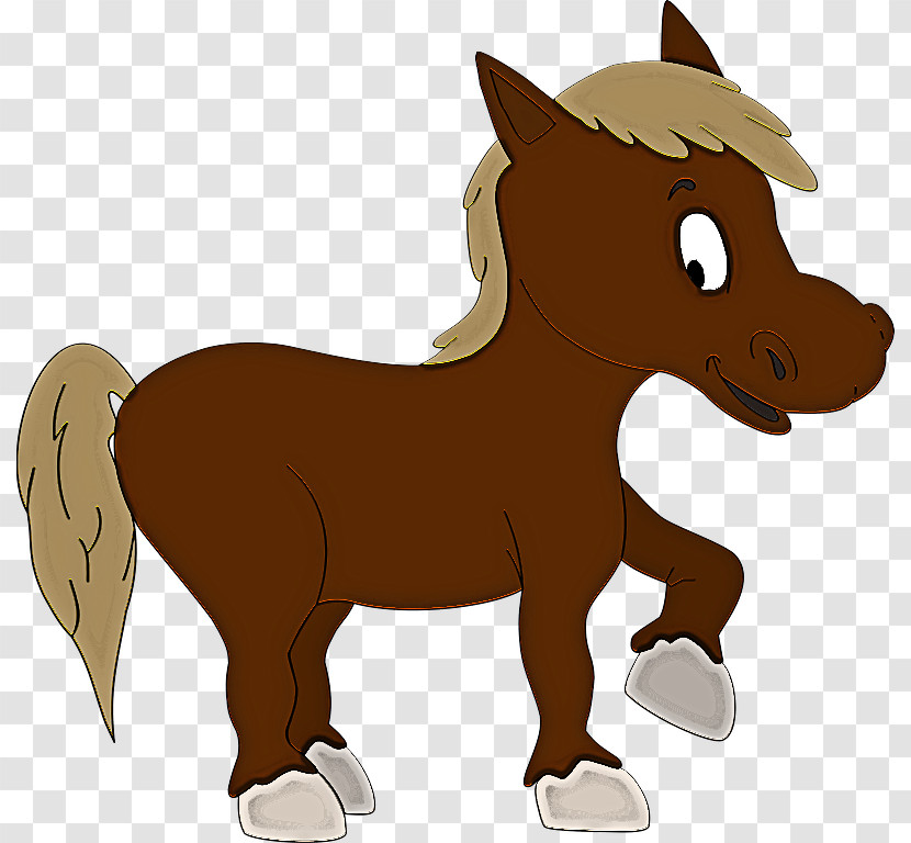 Foal Pony Stallion Mustang Colt Transparent PNG