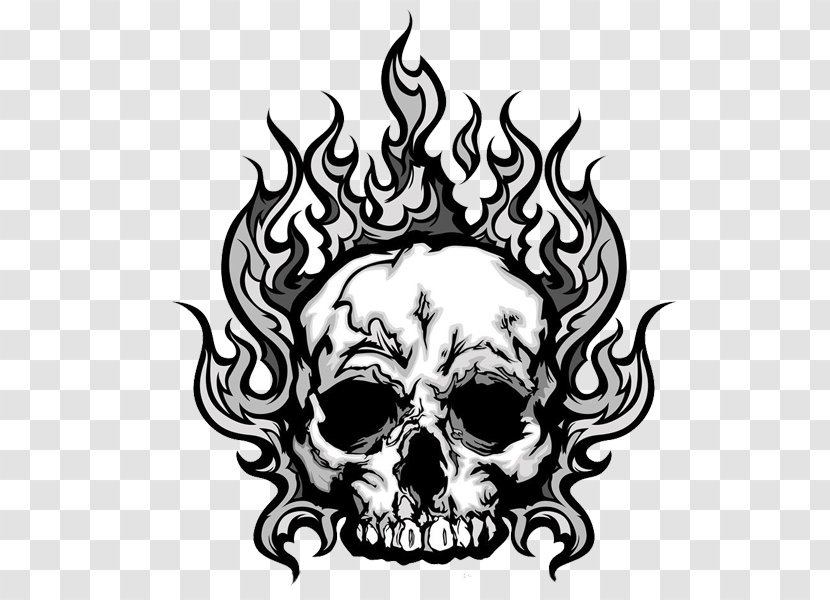 Skull Royalty-free Human Skeleton Clip Art - Bone - Free Wildfire To Pull The Material Transparent PNG