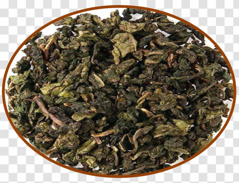 Tieguanyin Oolong Nilgiri Tea Green - Biluochun Transparent PNG