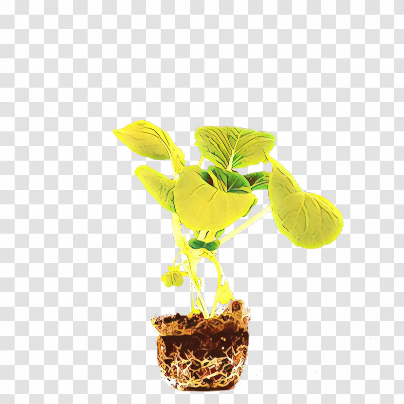 Flower Plant Yellow Flowerpot Houseplant Transparent PNG