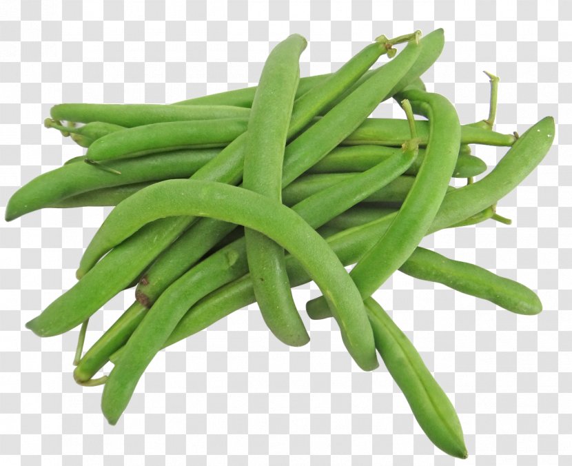 Green Bean Vegetable Common Recipe - Ingredient - Black Beans Transparent PNG