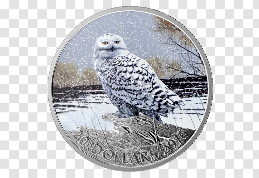 Snowy Owl Canada Coin Silver - Bullion Transparent PNG