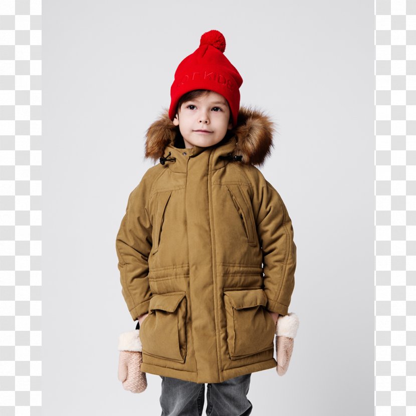 Hoodie Fur Clothing Coat Wool Outerwear - Jacket - Anteater Transparent PNG