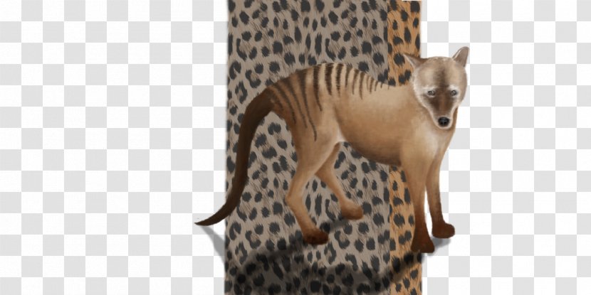 Whiskers Cheetah Big Cat Snout Transparent PNG
