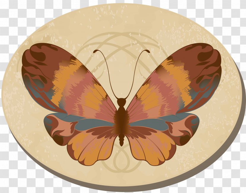 Monarch Butterfly Moth Brush-footed Butterflies - Chrysanthemum Transparent PNG