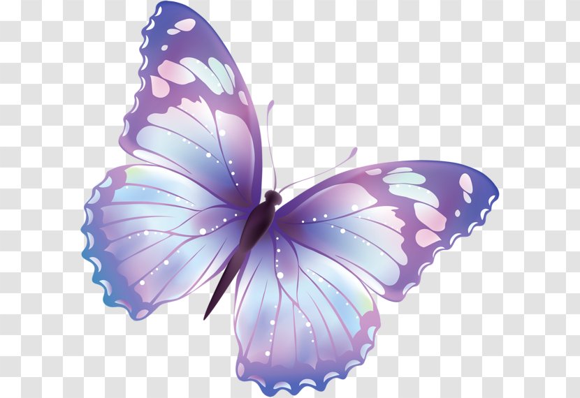 Butterfly Free Content Clip Art - Moths And Butterflies - Steel Cliparts Transparent PNG