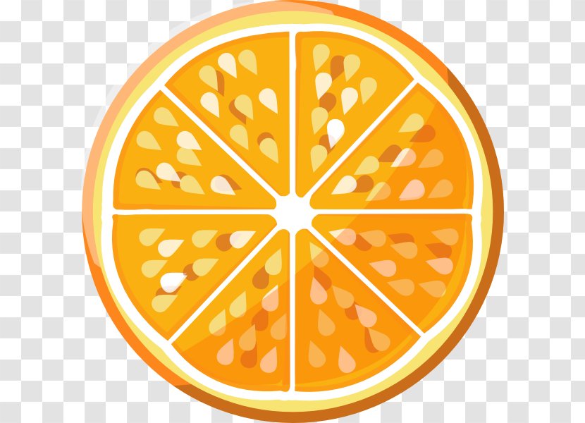 Orange Juice Flat Design Skeuomorph - Symmetry - Slices Vector Transparent PNG