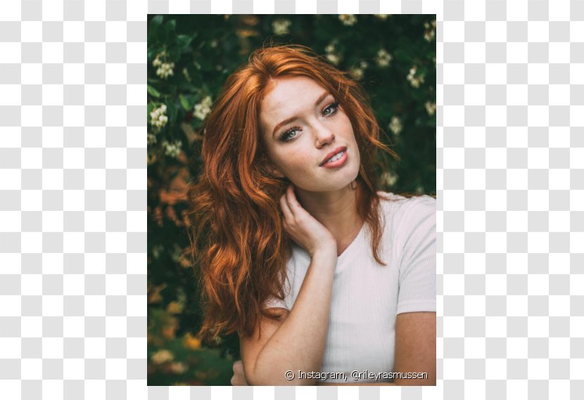 Red Hair Brown Blond - Frame Transparent PNG