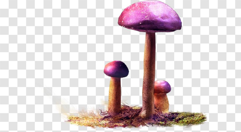 Clip Art Angel Wings File Format Adobe Photoshop - Mushroom - Cogumelos Transparent PNG