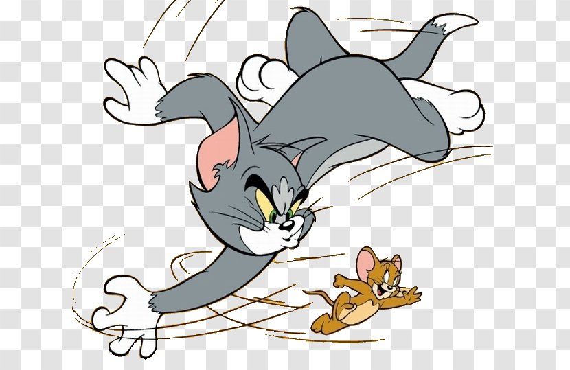 Jerry Mouse Tom Cat And Cartoon - Wing Transparent PNG