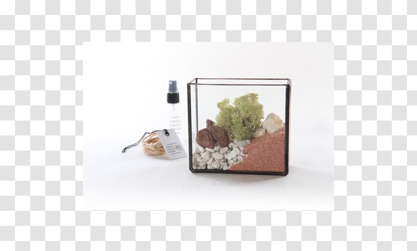 Terrarium Glass Crystal Mason Jar Poly - Incandescent Light Bulb Transparent PNG
