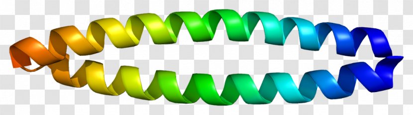 CD247 Gene Chromosome 1 T-cell Receptor Transcription - Silhouette - Cartoon Transparent PNG