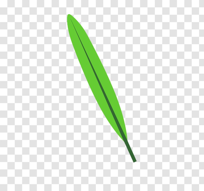 Leaf - Green Transparent PNG