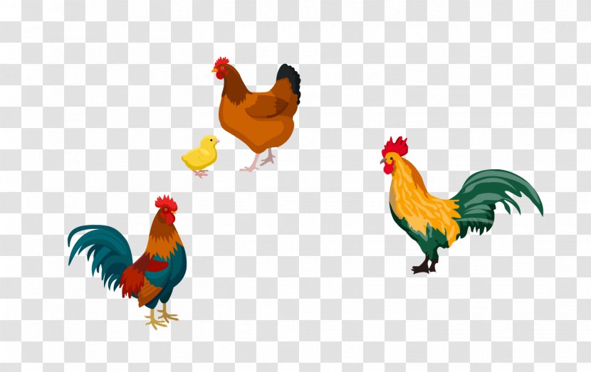 Rooster Roast Chicken - Bird Transparent PNG
