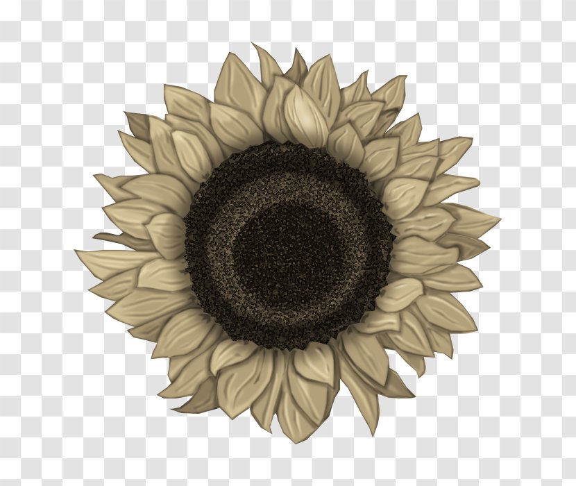 Common Sunflower Clip Art - Lamp - Flower Transparent PNG