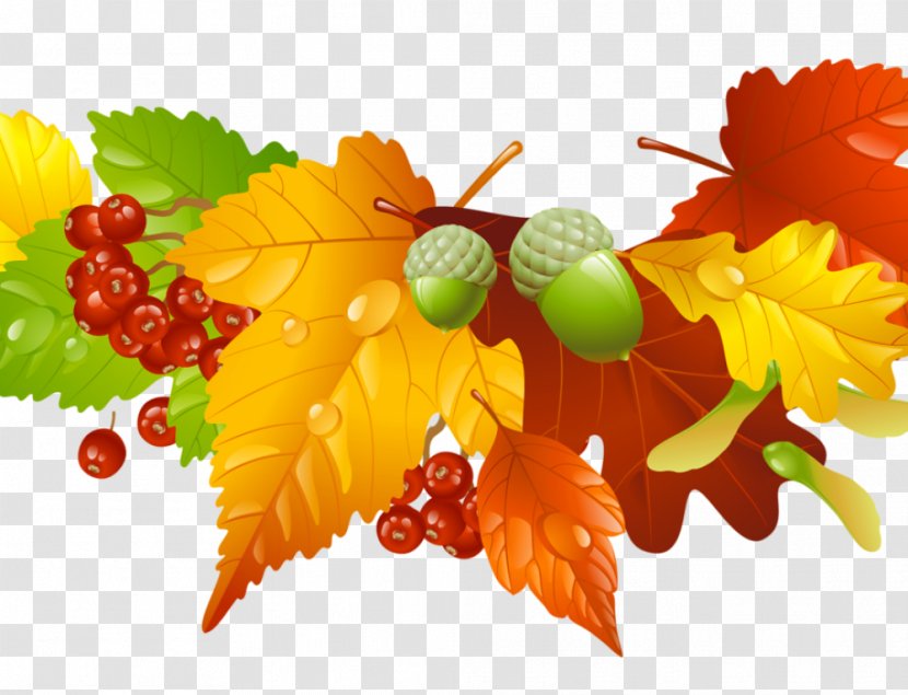 Vector Graphics Clip Art Stock Photography Image Royalty-free - Royaltyfree - Autumn Transparent PNG