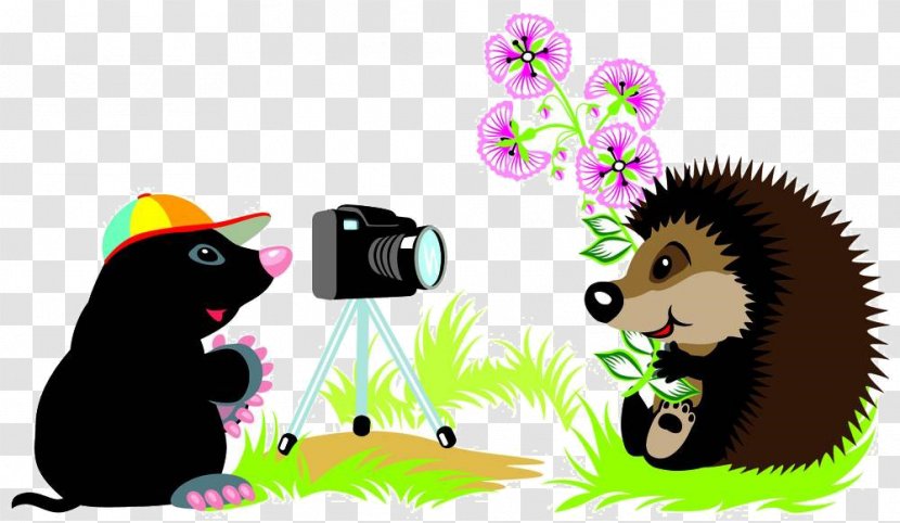 Hedgehog European Mole - Fauna - Cartoon Camera Material Transparent PNG