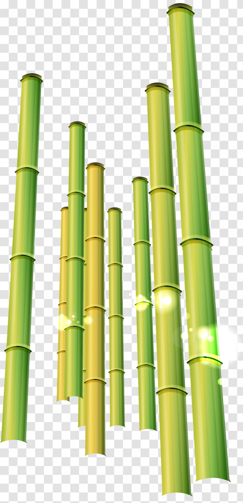 Bamboo Clip Art - Plant Stem - Green Pattern Material Transparent PNG