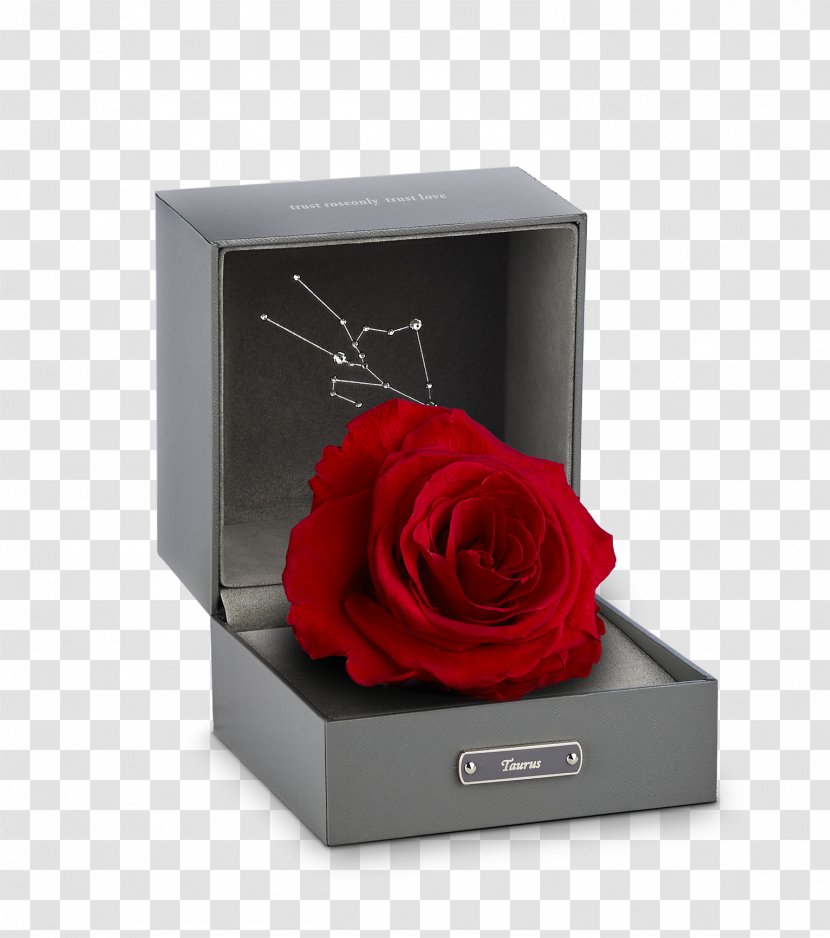 Beach Rose Gift Aries Valentines Day Box - Family Transparent PNG