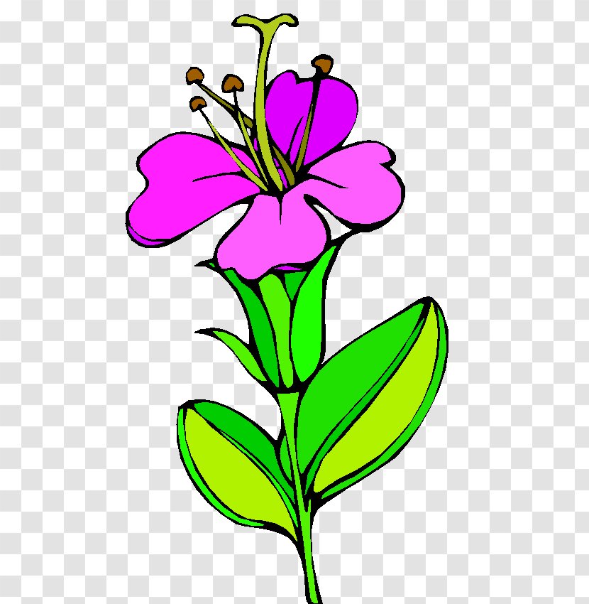 Floral Design Cut Flowers Plant Stem Flowering - Plants - Bunga Nasional Transparent PNG