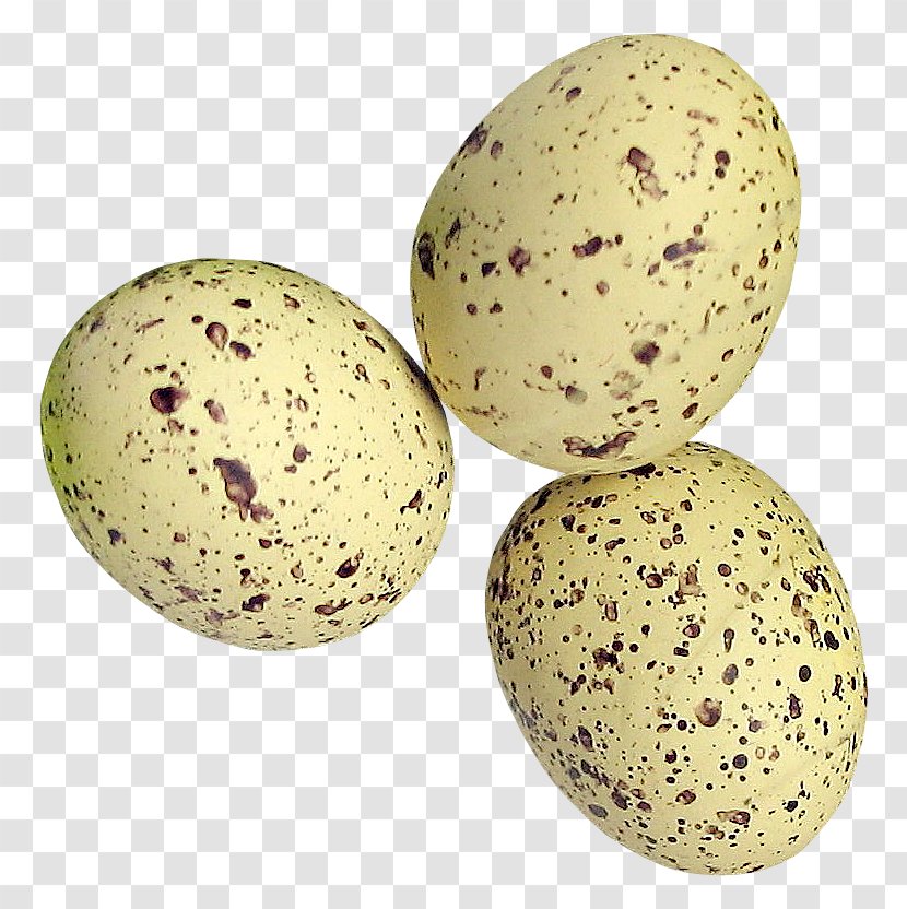 Quail Eggs Common - Gratis Transparent PNG