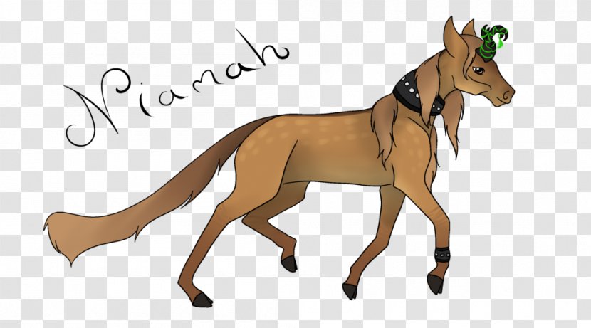Dog Mustang Mammal Pack Animal Macropodidae - Fictional Character Transparent PNG