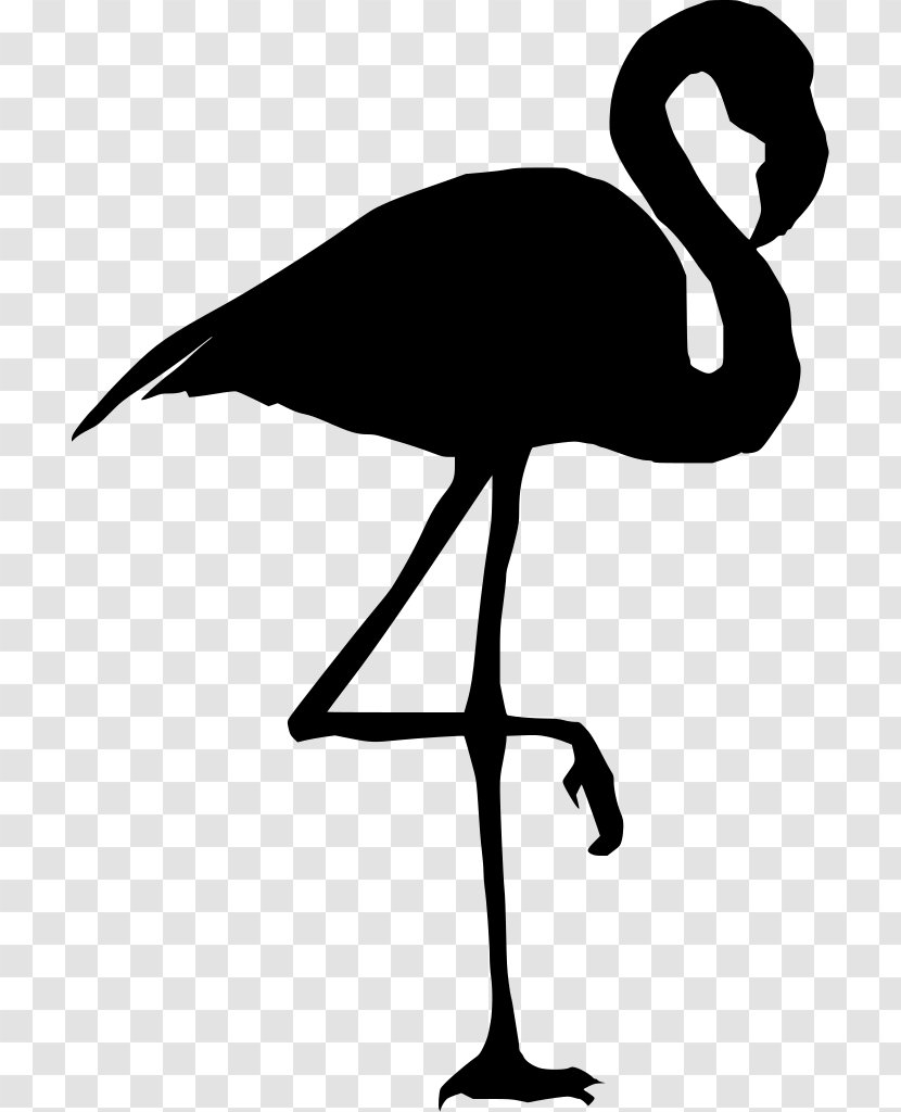 Flamingo Silhouette - Greater - Tail Emu Transparent PNG