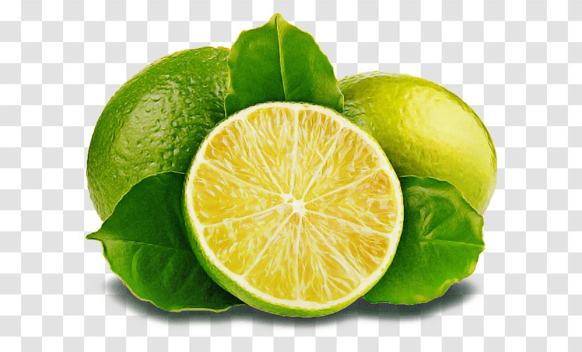Persian Lime Key Citrus Kaffir - Lemon - Food Sweet Transparent PNG