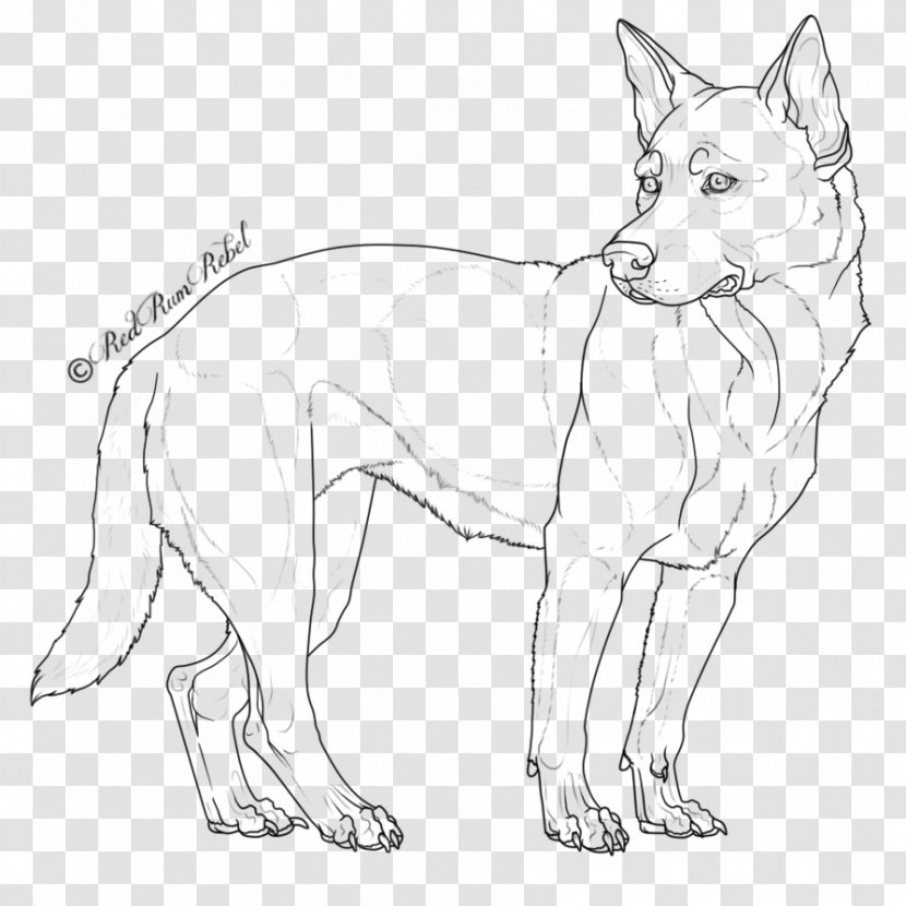 Dog Breed Australian Cattle Shepherd Line Art German - Puppy Transparent PNG