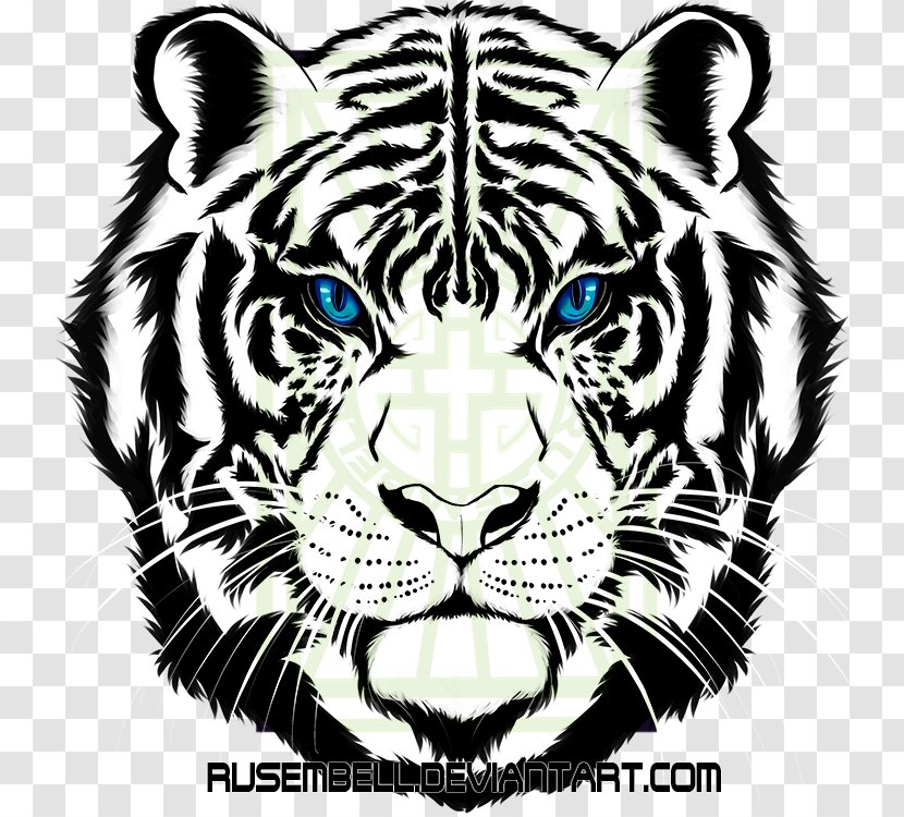 Tiger Cat Whiskers Fauna Black Transparent PNG