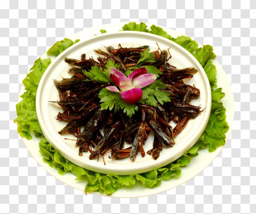 Food Tradition Gratis Caelifera - Cuisine - Fried Grasshopper Traditional Transparent PNG