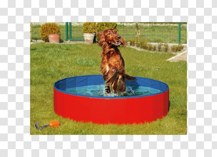 Dog Swimming Pool Bathtub Hot Tub Puppy - Bathing - Flamingo Transparent PNG