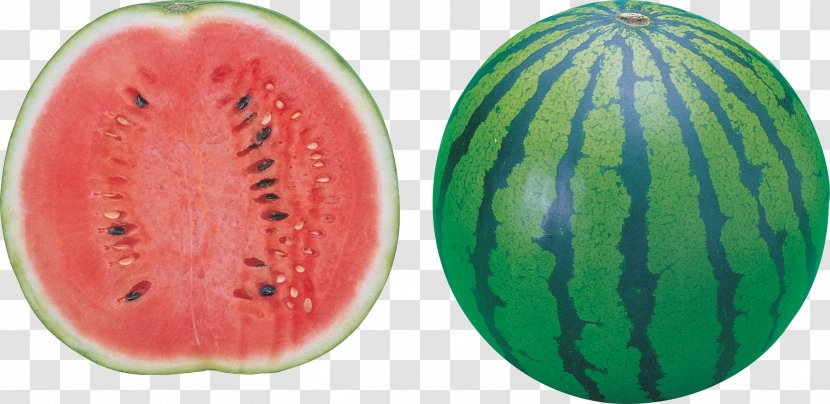 Watermelon Fruit Food - Image Transparent PNG