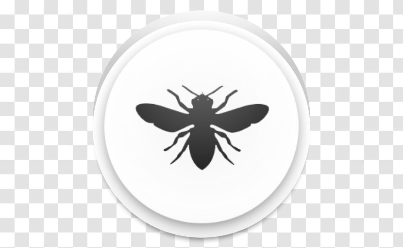 European Dark Bee Insect Beehive - Honey Transparent PNG