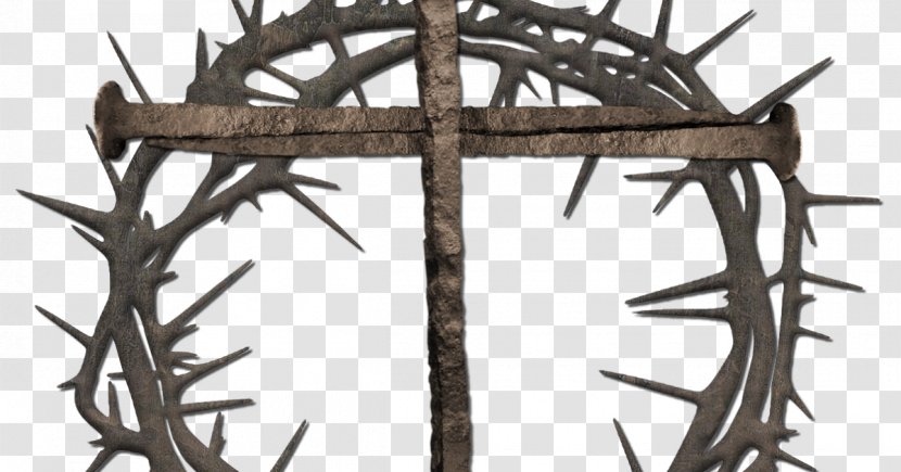 Crown Of Thorns Christian Cross Symbolism Clip Art Transparent PNG