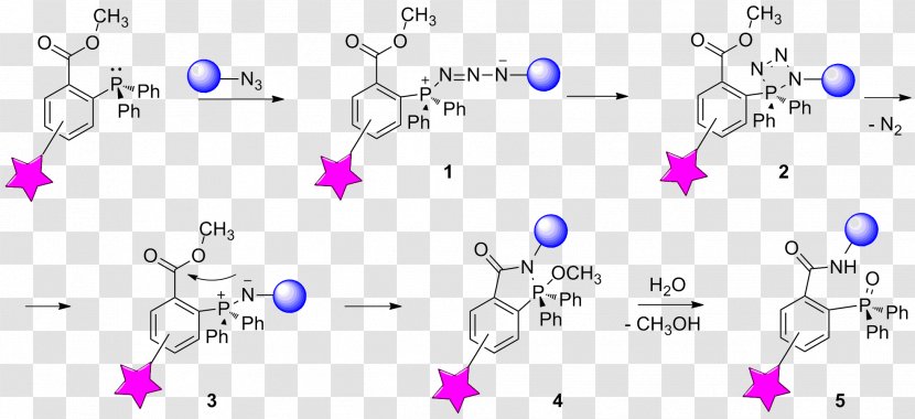 Staudinger Reaction Bioorthogonal Chemistry Chemical Ligation - Bioconjugation - Purple Transparent PNG