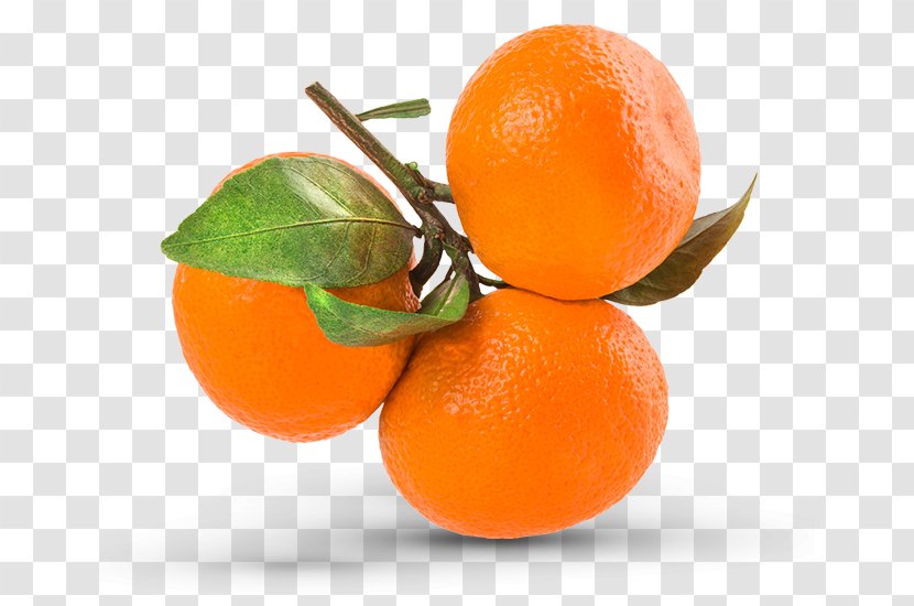 Mandarin Orange Clementine Grapefruit - Rangpur Transparent PNG