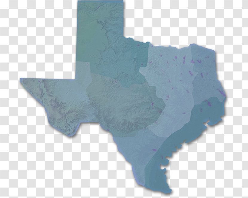 Texas Vector Map - United States Transparent PNG
