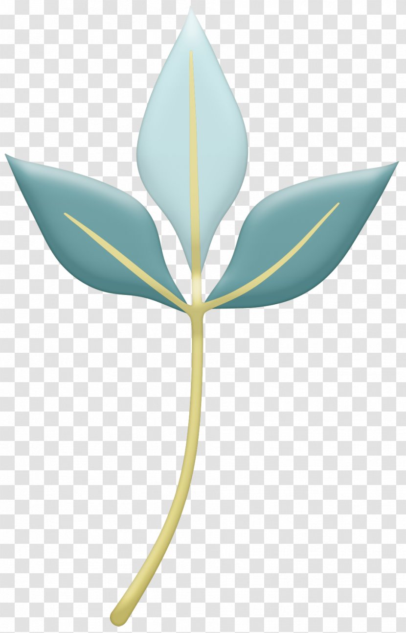 Leaf Plant - Clover Transparent PNG