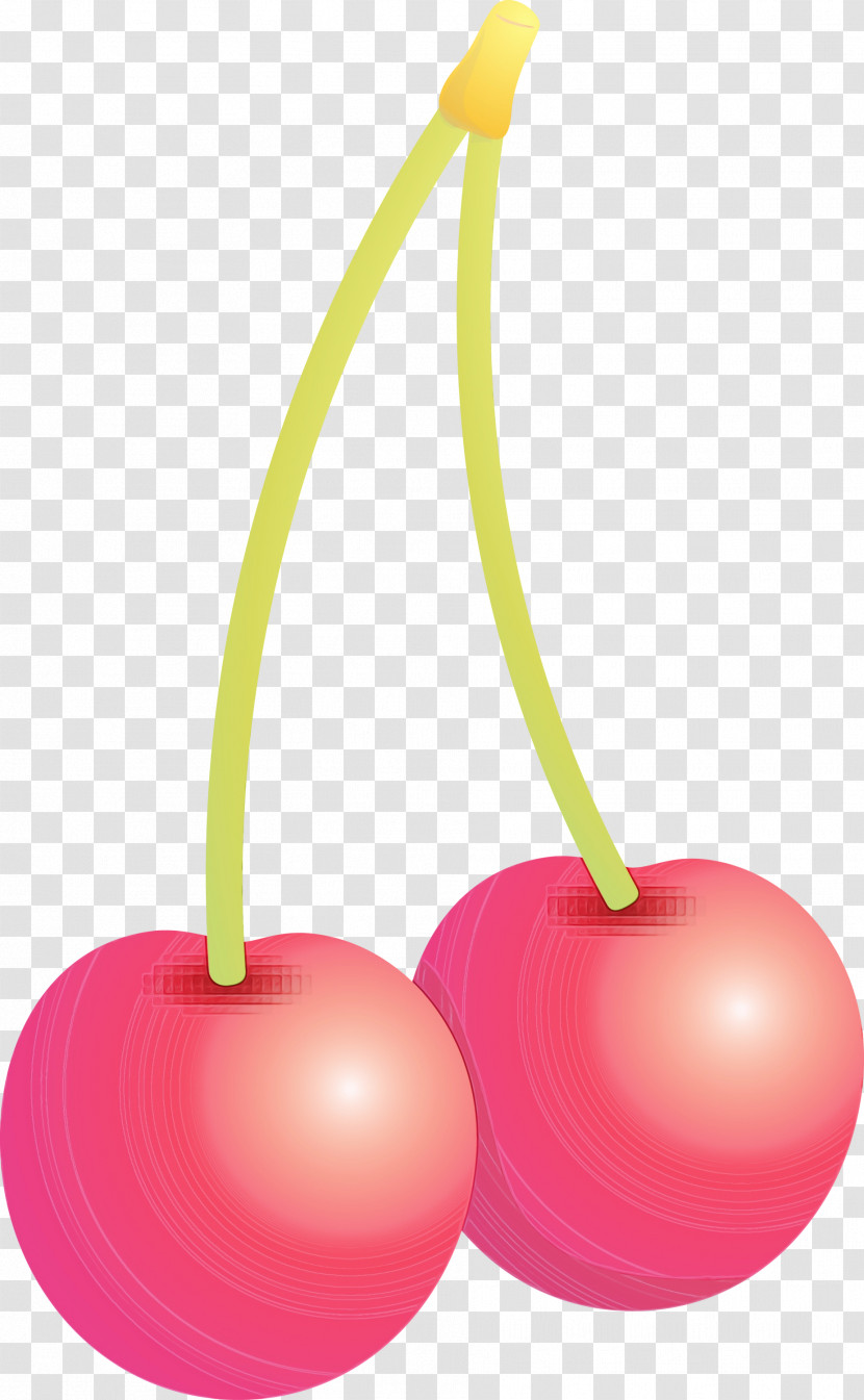 Cherry Pink Plant Fruit Drupe Transparent PNG