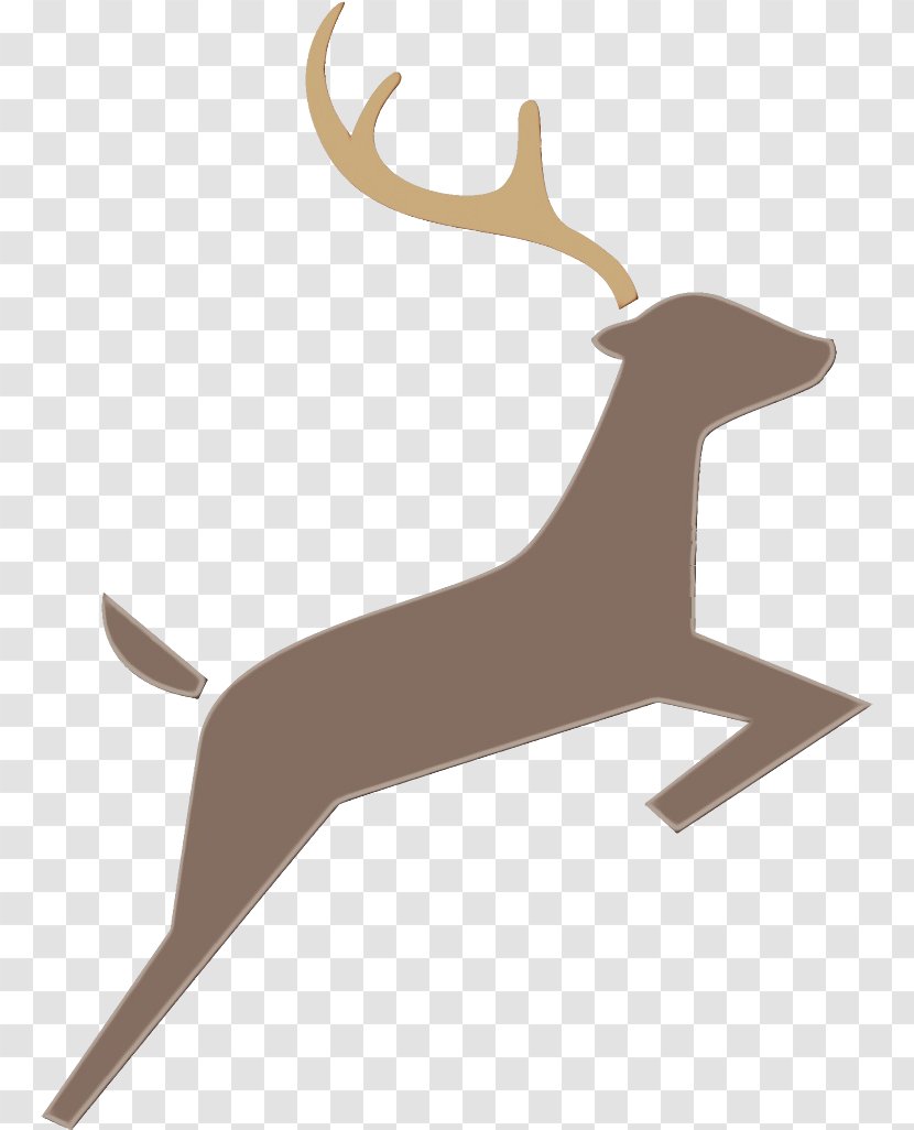 Reindeer - Paint - Wildlife Fawn Transparent PNG