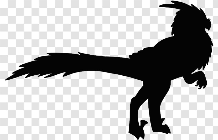 Beak Bird Tyrannosaurus Velociraptor Silhouette - Tail Transparent PNG