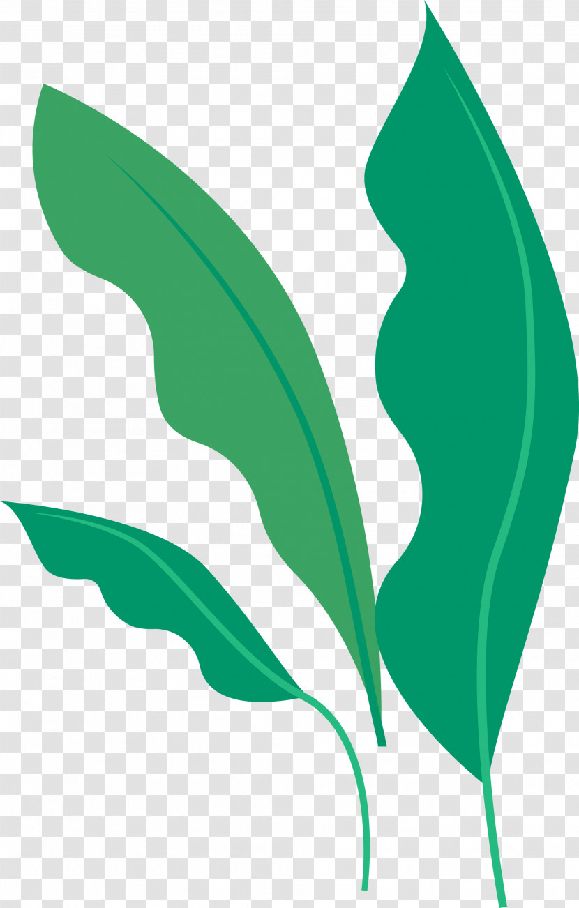 Leaf Green Plant Logo Plant Stem Transparent PNG