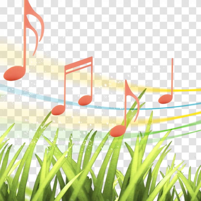 Musical Note Rhythm - Tree - Photos Notes Transparent PNG